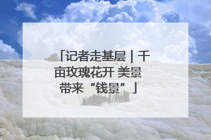 记者走基层｜千亩玫瑰花开 美景带来“钱景”