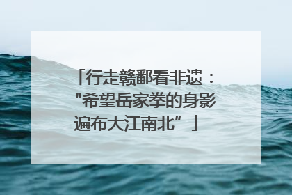 行走赣鄱看非遗：“希望岳家拳的身影遍布大江南北”