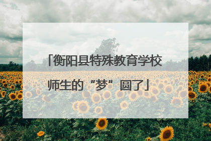 衡阳县特殊教育学校师生的“梦”圆了