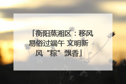 衡阳蒸湘区：移风易俗过端午 文明新风“粽”飘香