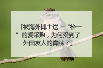 被海外博主送上“榜一”的爱采购，为何受到了外国友人的青睐？