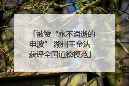 被赞“永不消逝的电波” 湖州王金法获评全国道德模范