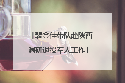裴金佳带队赴陕西调研退役军人工作