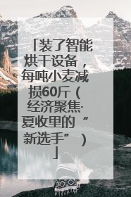 装了智能烘干设备，每吨小麦减损60斤（经济聚焦·夏收里的“新选手”）