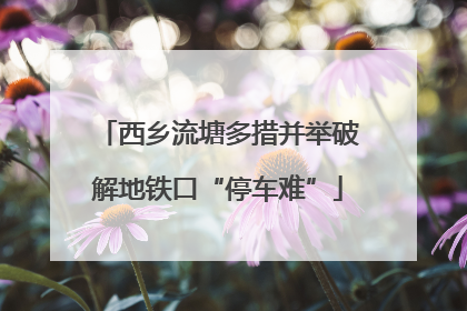 西乡流塘多措并举破解地铁口“停车难”