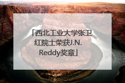 西北工业大学张卫红院士荣获J.N.Reddy奖章