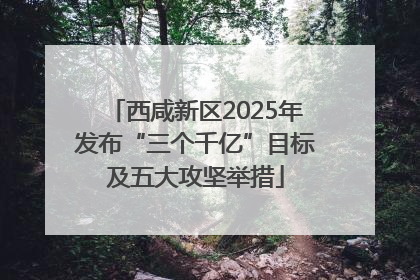 西咸新区2025年发布“三个千亿”目标及五大攻坚举措