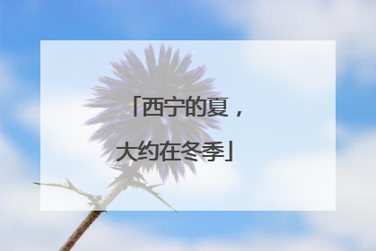 西宁的夏，大约在冬季