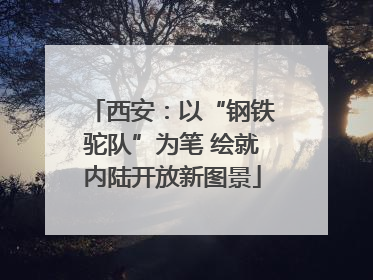 西安：以“钢铁驼队”为笔 绘就内陆开放新图景