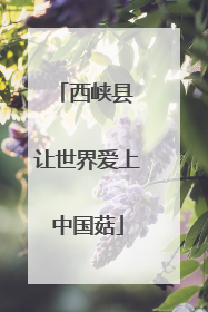 西峡县 让世界爱上中国菇