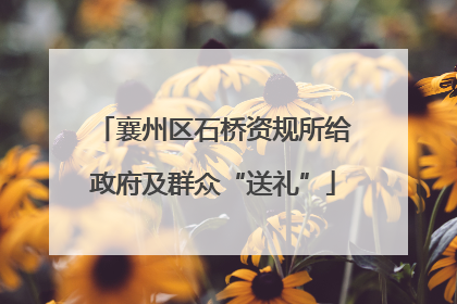 襄州区石桥资规所给政府及群众“送礼”
