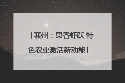 襄州：果香虾跃 特色农业激活新动能