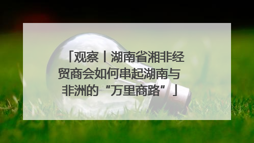 观察丨湖南省湘非经贸商会如何串起湖南与非洲的“万里商路”