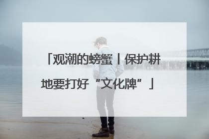 观潮的螃蟹丨保护耕地要打好“文化牌”