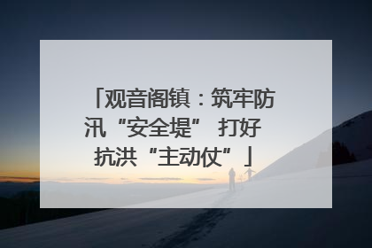 观音阁镇：筑牢防汛“安全堤” 打好抗洪“主动仗”