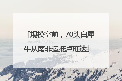 规模空前，70头白犀牛从南非运抵卢旺达