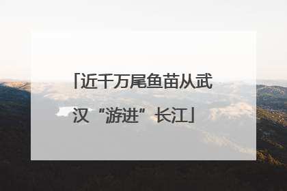 近千万尾鱼苗从武汉“游进”长江