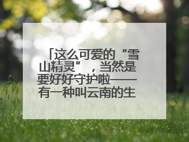这么可爱的“雪山精灵”，当然是要好好守护啦——有一种叫云南的生活之365天