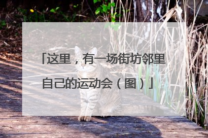 这里，有一场街坊邻里自己的运动会（图）