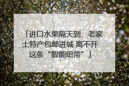 进口水果隔天到、老家土特产包邮进城 离不开这条“智能纽带”