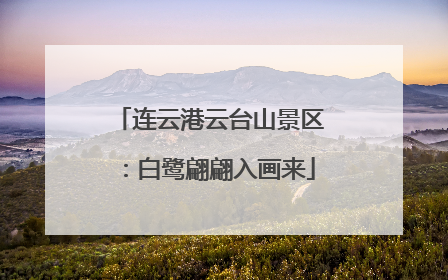 连云港云台山景区：白鹭翩翩入画来