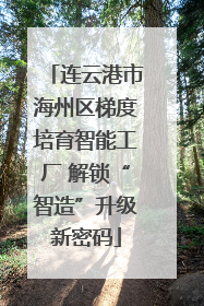 连云港市海州区梯度培育智能工厂 解锁“智造”升级新密码