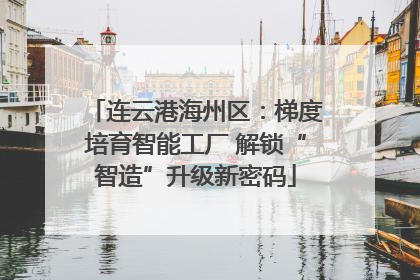 连云港海州区：梯度培育智能工厂 解锁“智造”升级新密码