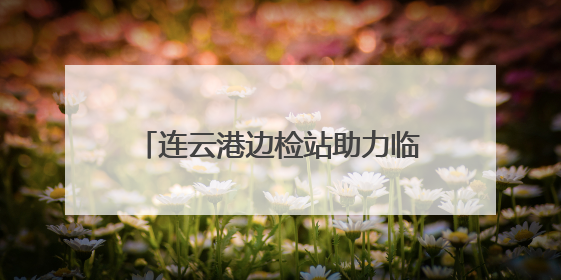 连云港边检站助力临时启用泊位首艘国际航行船舶高效通关