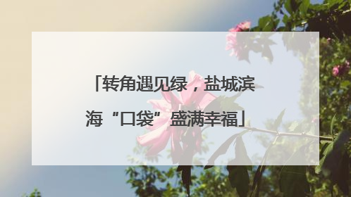 转角遇见绿，盐城滨海“口袋”盛满幸福