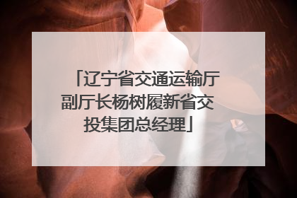 辽宁省交通运输厅副厅长杨树履新省交投集团总经理
