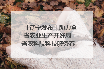 辽宁发布｜助力全省农业生产开好局 省农科院科技服务春耕备耕成效显著