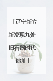辽宁新宾新发现九处旧石器时代遗址