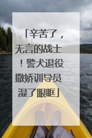 辛苦了，无言的战士！警犬退役撒娇训导员湿了眼眶