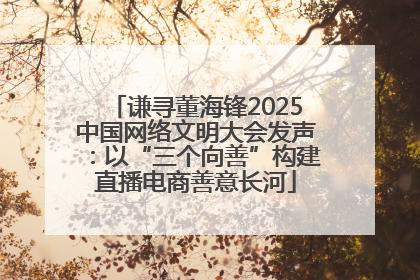 谦寻董海锋2025中国网络文明大会发声：以“三个向善”构建直播电商善意长河