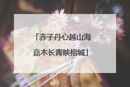赤子丹心越山海 嘉木长青映榕城