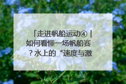 走进帆船运动④｜如何看懂一场帆船赛？水上的“速度与激情”同样精彩