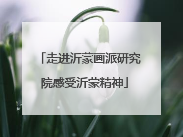 走进沂蒙画派研究院感受沂蒙精神