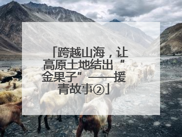跨越山海，让高原土地结出“金果子”——援青故事②