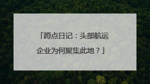蹲点日记：头部航运企业为何聚集此地？