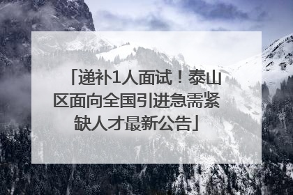 递补1人面试！泰山区面向全国引进急需紧缺人才最新公告