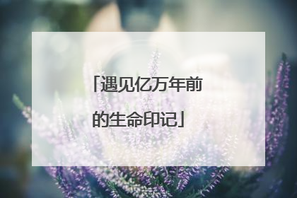 遇见亿万年前的生命印记