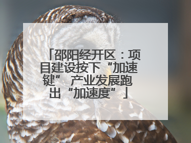邵阳经开区：项目建设按下“加速键” 产业发展跑出“加速度”