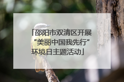 邵阳市双清区开展“美丽中国我先行”环境日主题活动