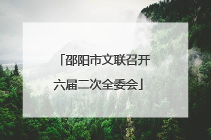 邵阳市文联召开六届二次全委会