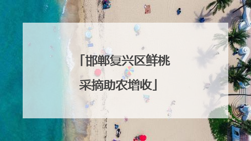 邯郸复兴区鲜桃采摘助农增收