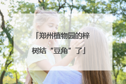 郑州植物园的梓树结“豆角”了