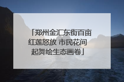 郑州金汇东街百亩红莲怒放 市民花间起舞绘生态画卷