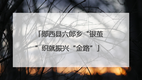 郧西县六郎乡“银茧”织就振兴“金路”