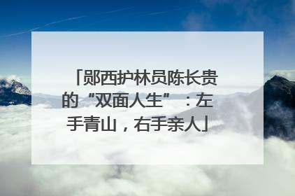郧西护林员陈长贵的“双面人生”：左手青山，右手亲人