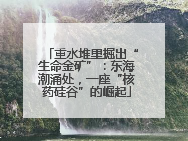 重水堆里掘出“生命金矿”：东海潮涌处，一座“核药硅谷”的崛起